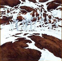 Beverly Doolittle - Pintos